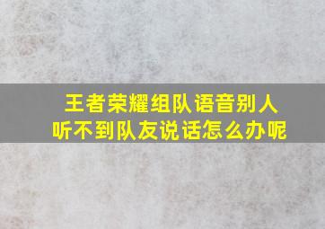 王者荣耀组队语音别人听不到队友说话怎么办呢