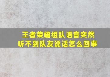 王者荣耀组队语音突然听不到队友说话怎么回事