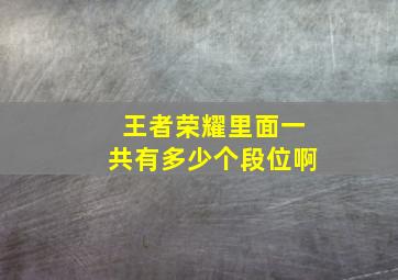 王者荣耀里面一共有多少个段位啊