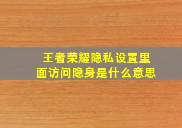 王者荣耀隐私设置里面访问隐身是什么意思