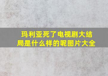 玛利亚死了电视剧大结局是什么样的呢图片大全