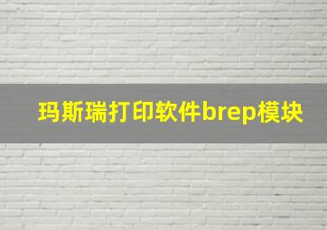 玛斯瑞打印软件brep模块