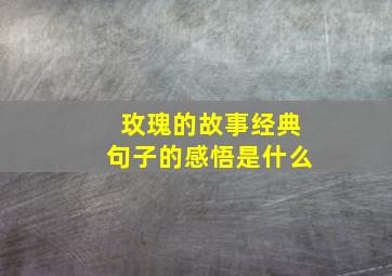 玫瑰的故事经典句子的感悟是什么