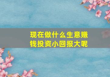 现在做什么生意赚钱投资小回报大呢