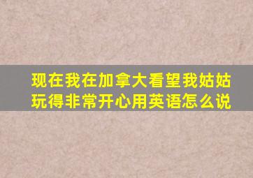 现在我在加拿大看望我姑姑玩得非常开心用英语怎么说