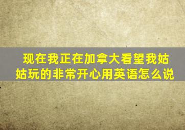 现在我正在加拿大看望我姑姑玩的非常开心用英语怎么说