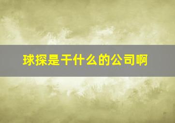 球探是干什么的公司啊