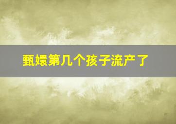 甄嬛第几个孩子流产了