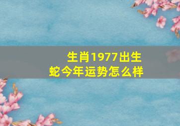 生肖1977出生蛇今年运势怎么样