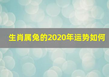 生肖属兔的2020年运势如何