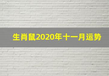 生肖鼠2020年十一月运势