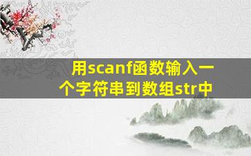 用scanf函数输入一个字符串到数组str中