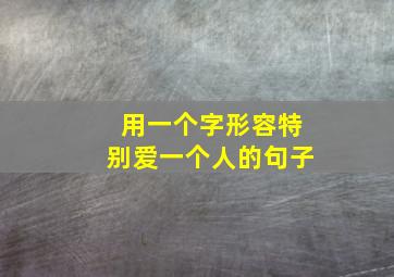 用一个字形容特别爱一个人的句子