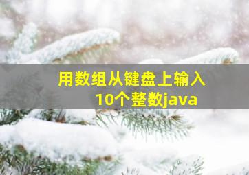 用数组从键盘上输入10个整数java