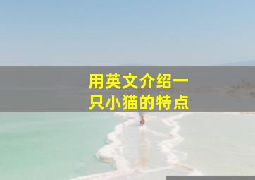 用英文介绍一只小猫的特点