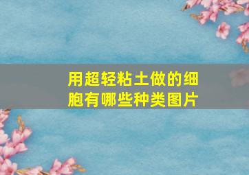 用超轻粘土做的细胞有哪些种类图片