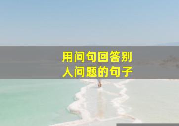 用问句回答别人问题的句子