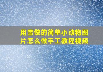 用雪做的简单小动物图片怎么做手工教程视频