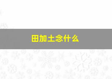 田加土念什么