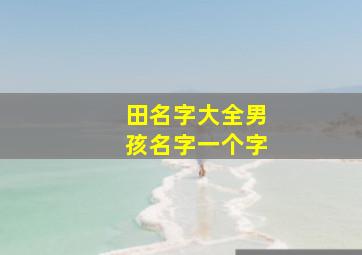 田名字大全男孩名字一个字