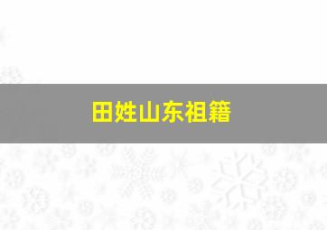 田姓山东祖籍