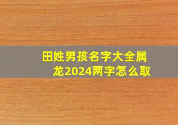 田姓男孩名字大全属龙2024两字怎么取