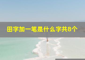 田字加一笔是什么字共8个