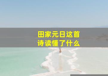 田家元日这首诗读懂了什么