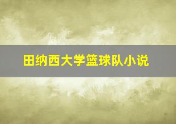 田纳西大学篮球队小说