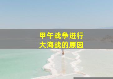 甲午战争进行大海战的原因