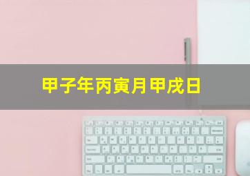 甲子年丙寅月甲戌日