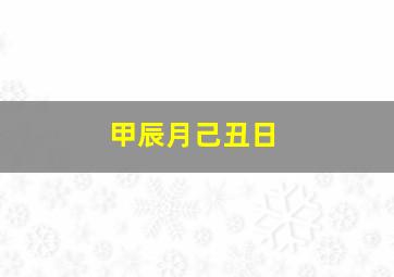 甲辰月己丑日