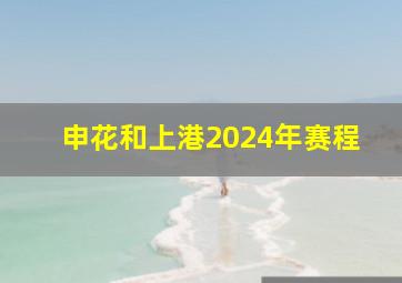 申花和上港2024年赛程