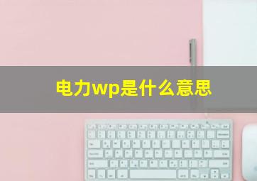 电力wp是什么意思