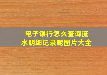 电子银行怎么查询流水明细记录呢图片大全