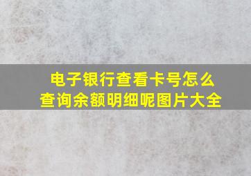 电子银行查看卡号怎么查询余额明细呢图片大全