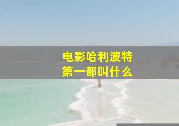 电影哈利波特第一部叫什么