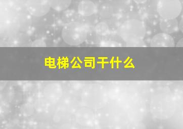 电梯公司干什么