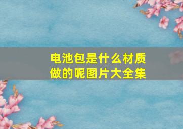 电池包是什么材质做的呢图片大全集