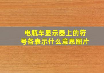 电瓶车显示器上的符号各表示什么意思图片