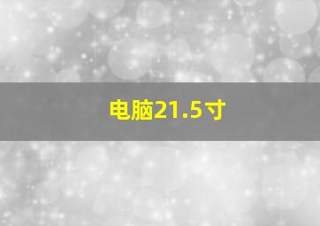 电脑21.5寸