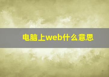 电脑上web什么意思