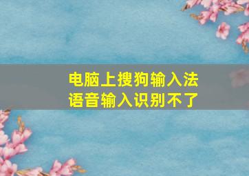 电脑上搜狗输入法语音输入识别不了