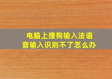 电脑上搜狗输入法语音输入识别不了怎么办