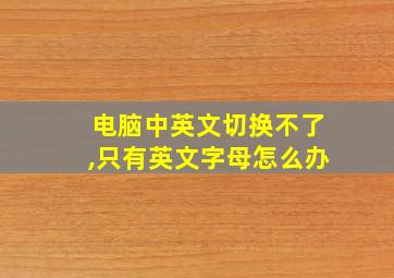 电脑中英文切换不了,只有英文字母怎么办