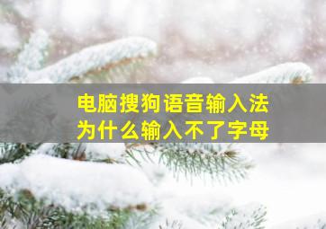 电脑搜狗语音输入法为什么输入不了字母