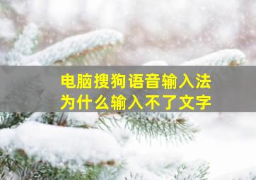 电脑搜狗语音输入法为什么输入不了文字