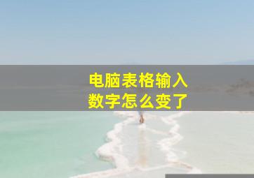 电脑表格输入数字怎么变了