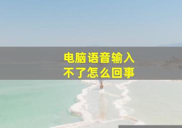 电脑语音输入不了怎么回事