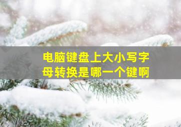 电脑键盘上大小写字母转换是哪一个键啊